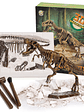 Kit de excavación de fósiles dinosaurios - Miniatura 2