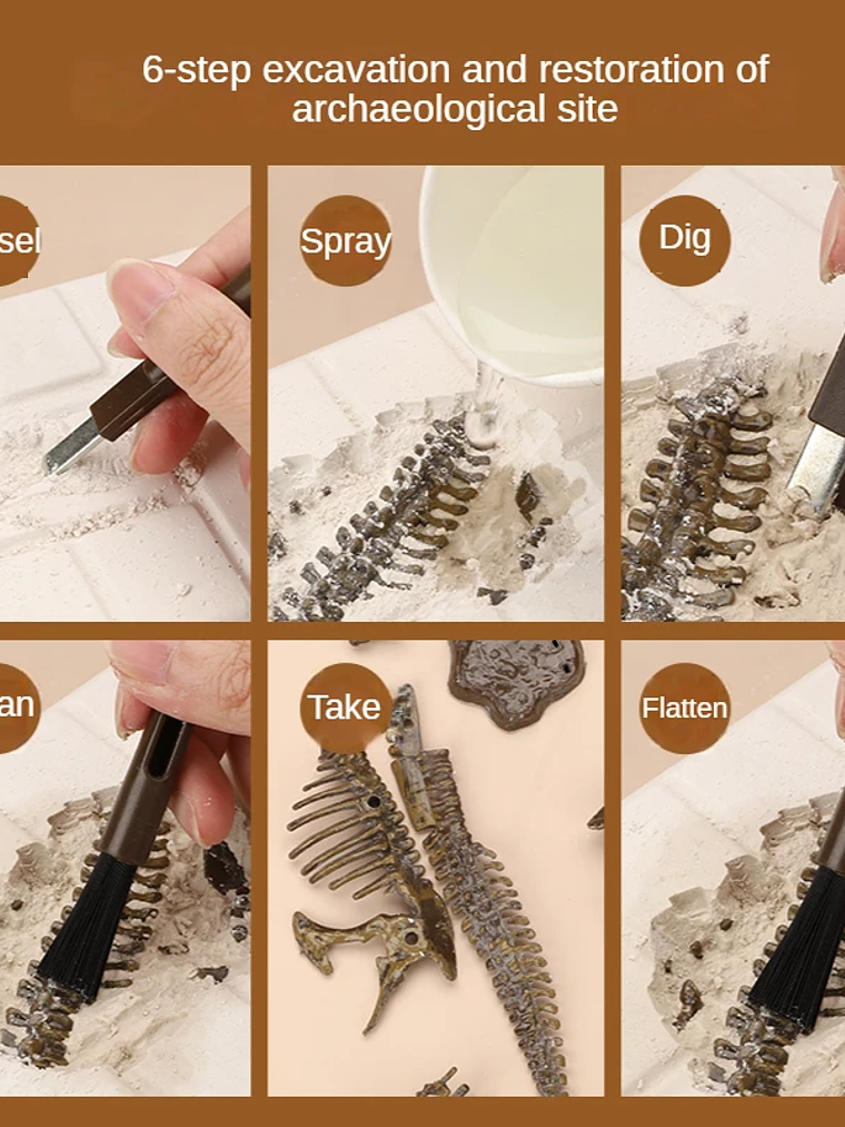 Kit de excavación de fósiles dinosaurios 3