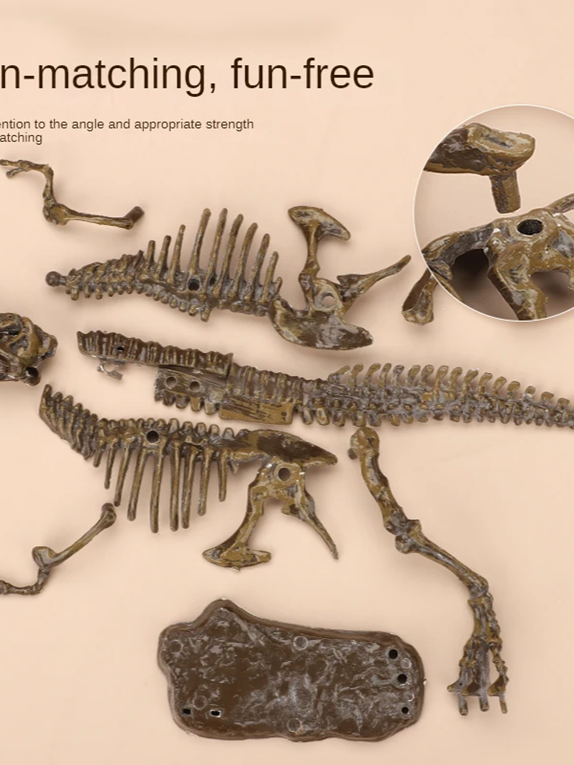 Kit de excavación de fósiles dinosaurios 4