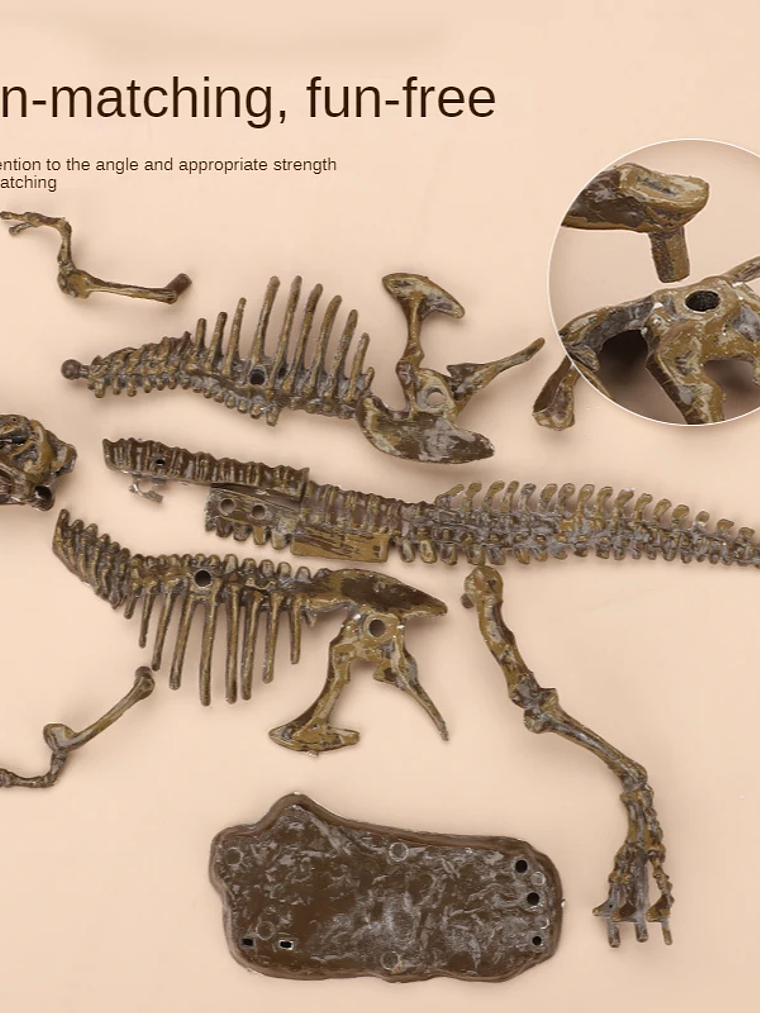 Kit de excavación de fósiles dinosaurios 4