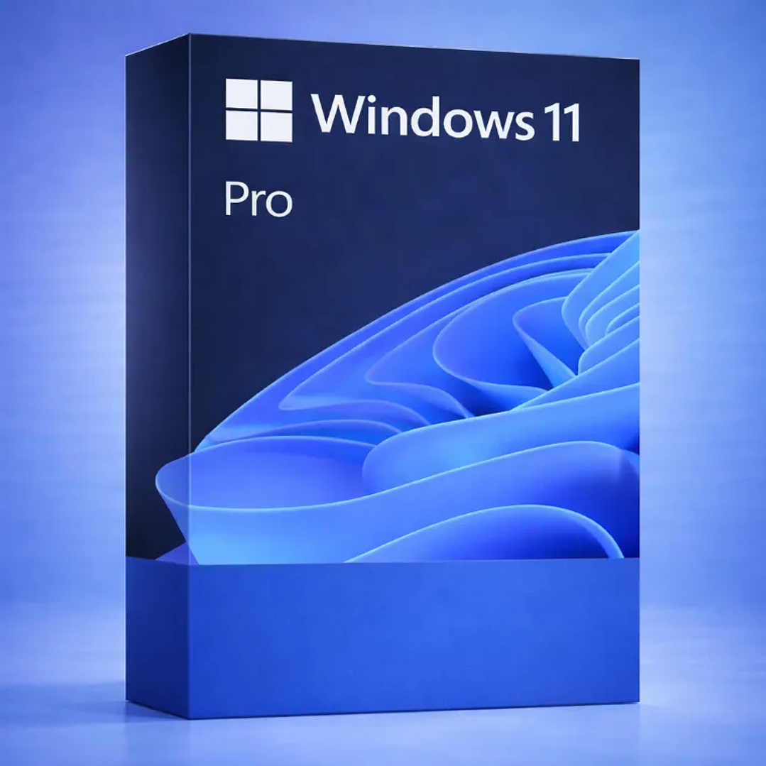 Windows 11 Professional 1