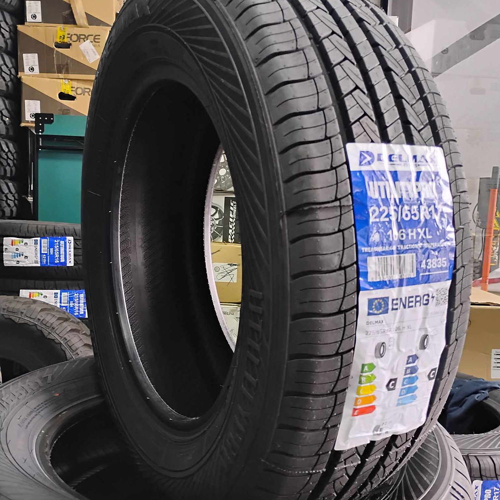 Neumático 225/65R17 106H XL Delmax Utilitypro 