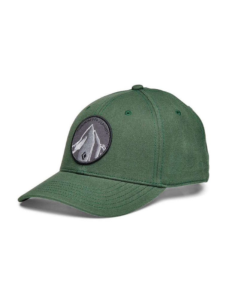 Black Diamond BD Brushed Cap Cypress 1