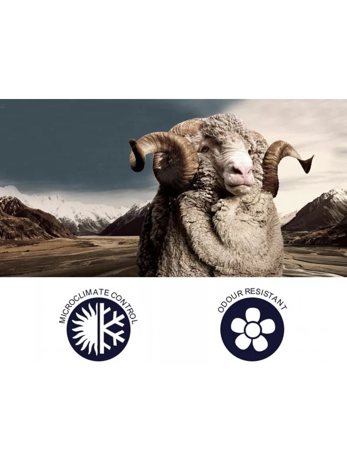 Conjunto Primera Capa Lana Merino 260 g.  2