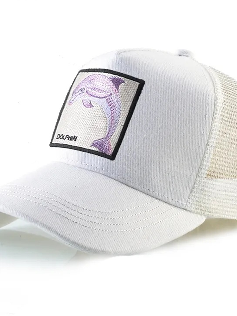 Jockey Bordado Dolphin  2