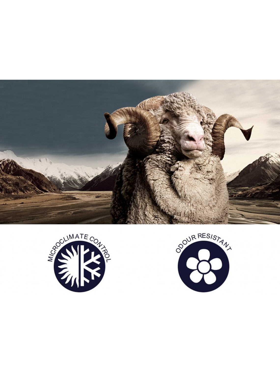 Neck Gaiter 55% Lana Merino  5