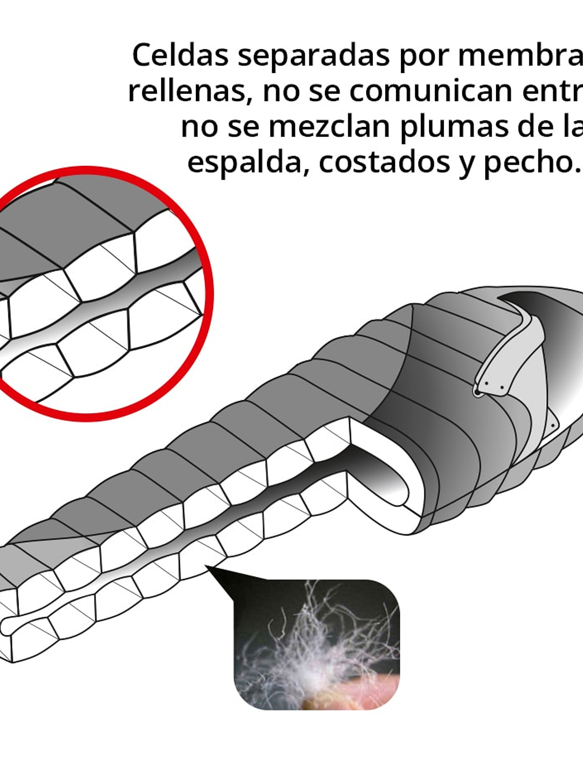 Saco de dormir Pluma Campsor 3