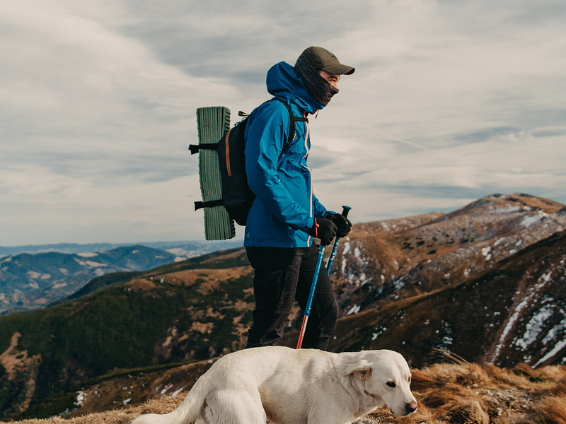 ¿Puedo llevar a mi perro a la montaña?