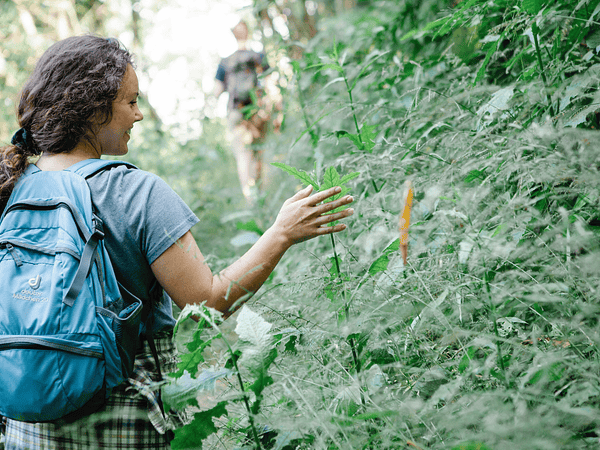 Los Beneficios del Aire Libre en Tu Salud Mental: Desconectar para conectar.