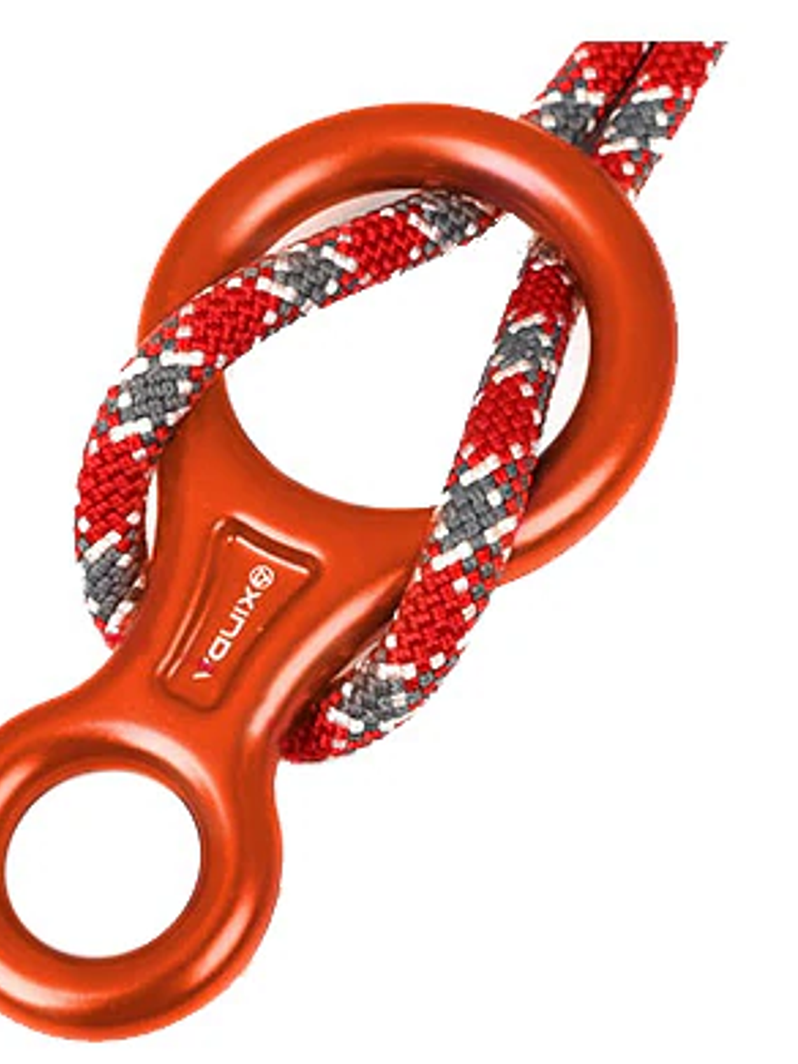 Descendedor / Asegurador Ocho Xinda 45 kn 4