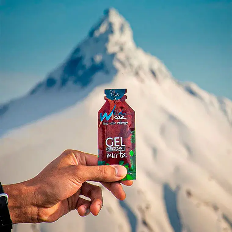 Gel Energizante Wildmate  Plus Murta 2