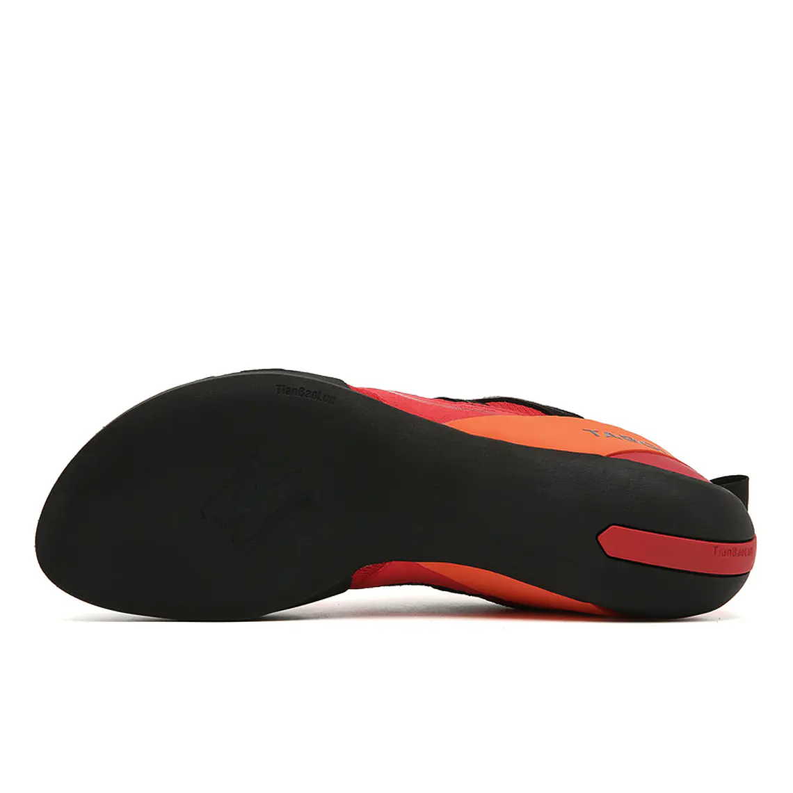 New Arrival: Zapatilla Escalada Tabolu 14