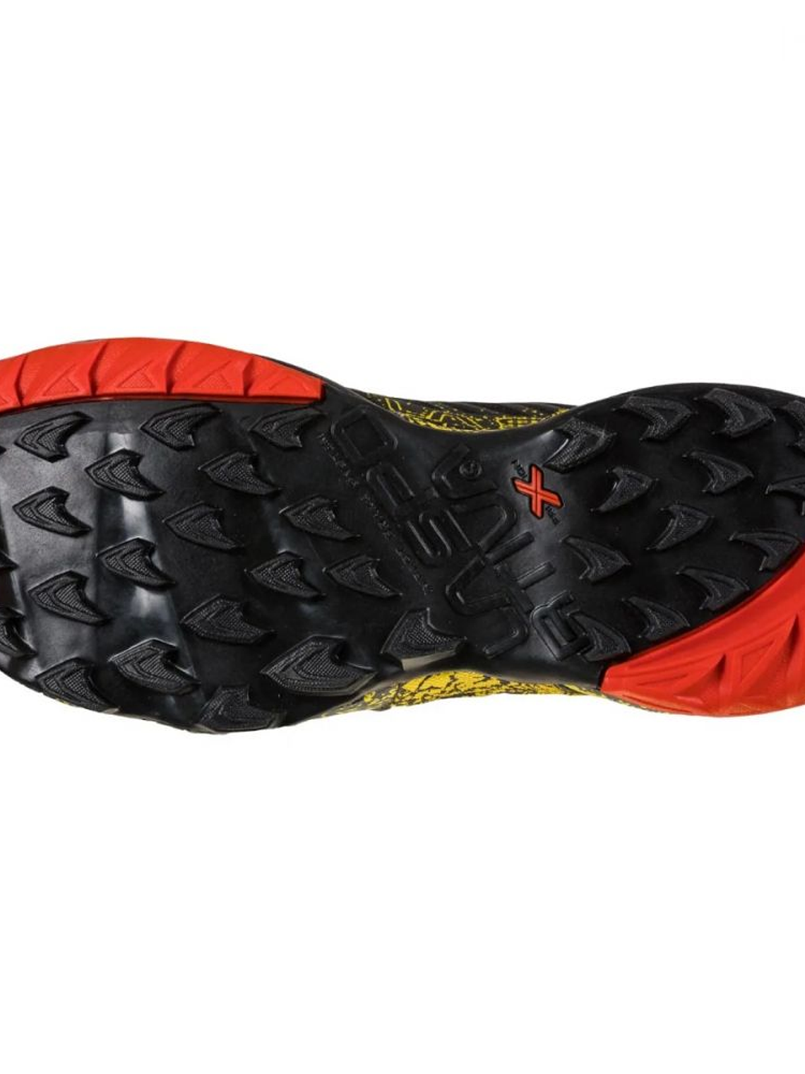 Zapatilla Akasha II 2