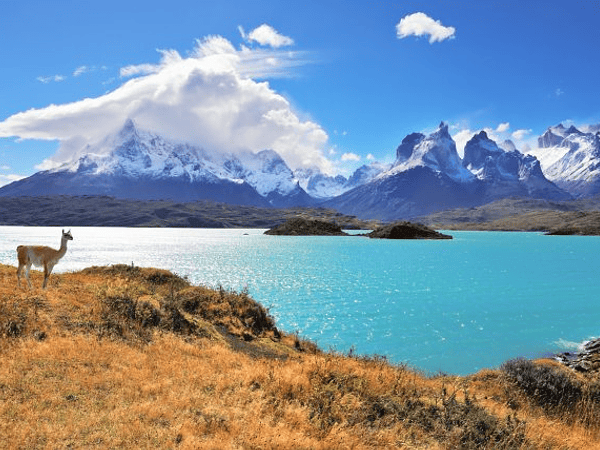 Médicos podrán recetar visitar Parques Nacionales