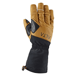 Guantes Gore-Tex Alpine Mission Glove