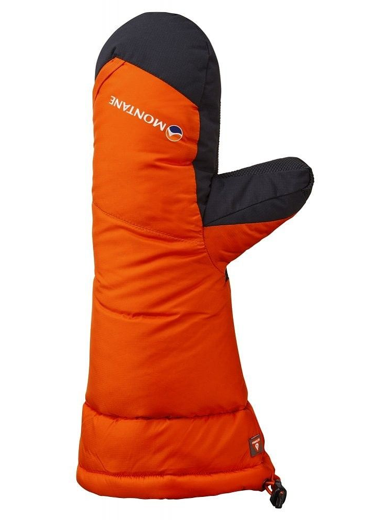 Alpine 850 Down Mitt 8