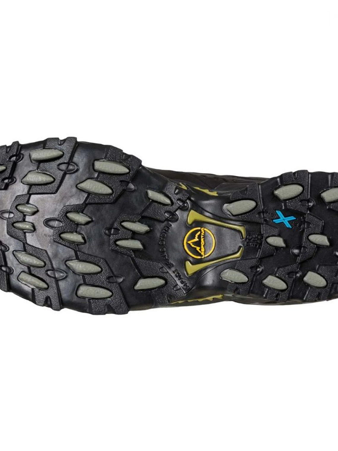 Zapatilla Ultra Raptor II Leather GTX Black/Cedar 2