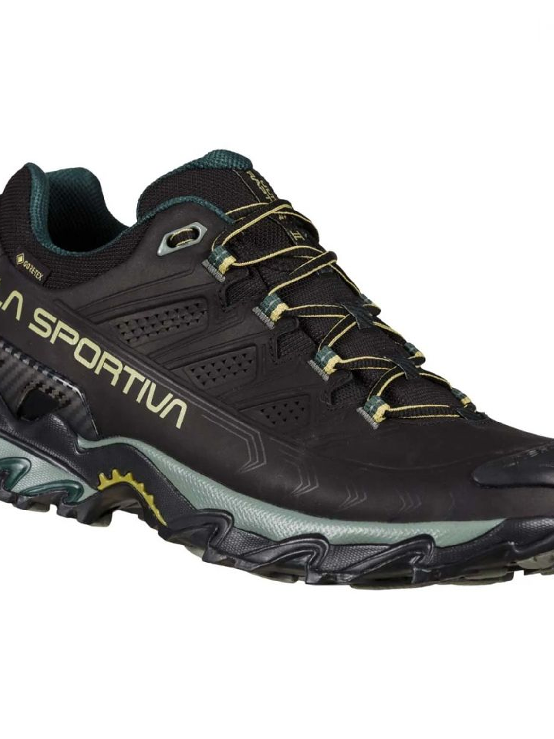 Zapatilla Ultra Raptor II Leather GTX Black/Cedar 8