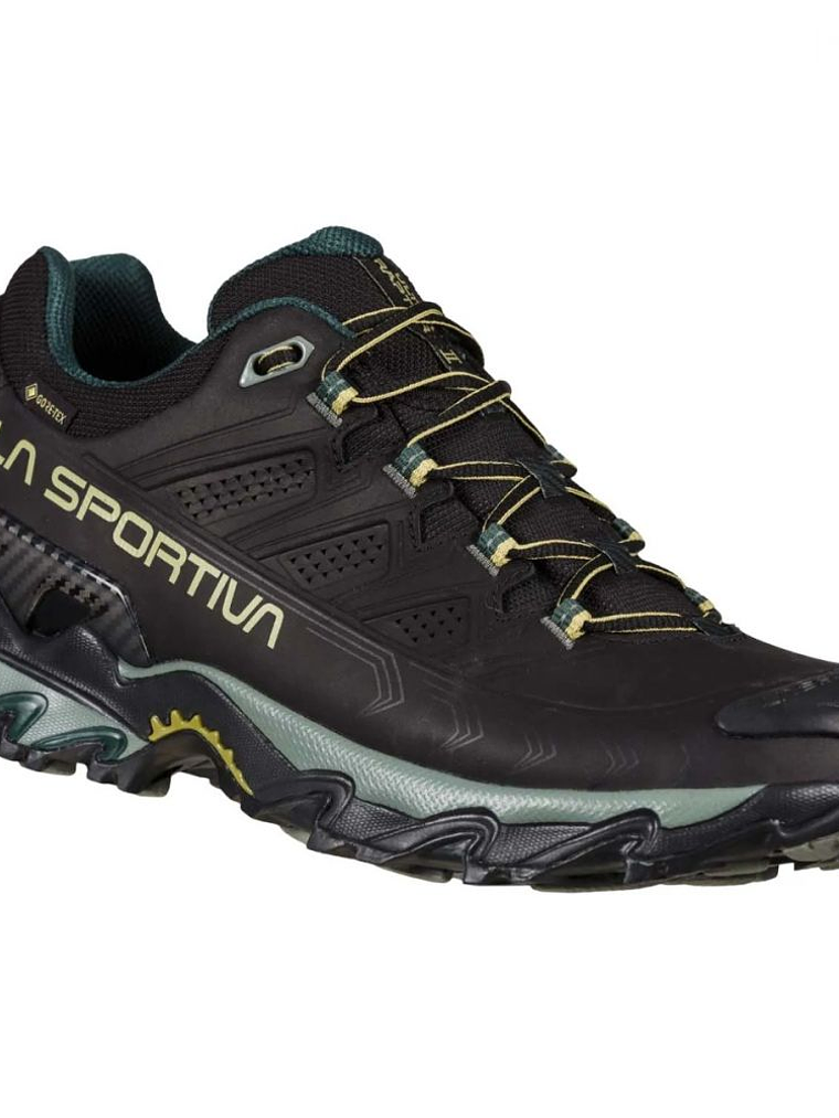 Zapatilla Ultra Raptor II Leather GTX Black/Cedar 8