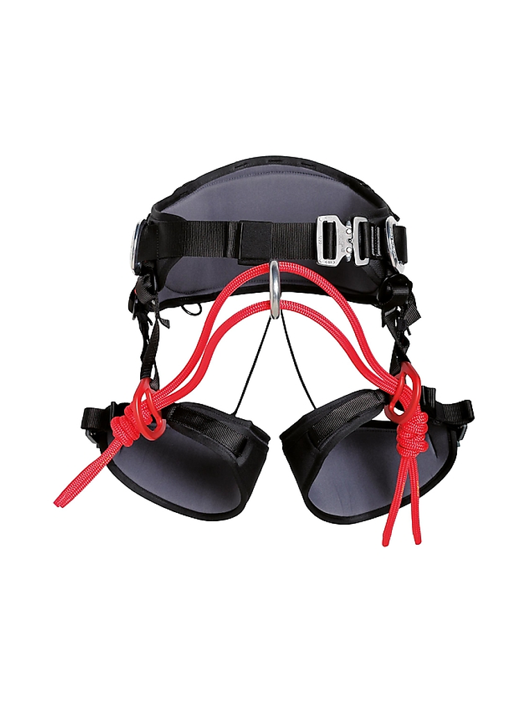 Arnés Arbo Master 1