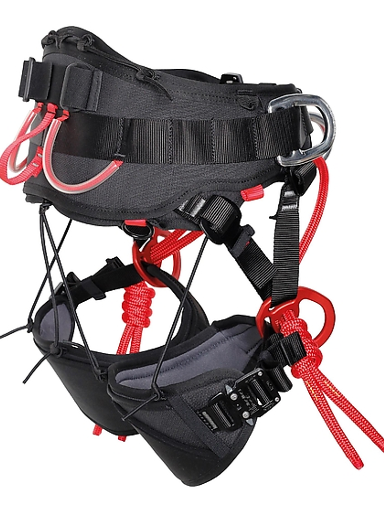 Arnés Arbo Master 4