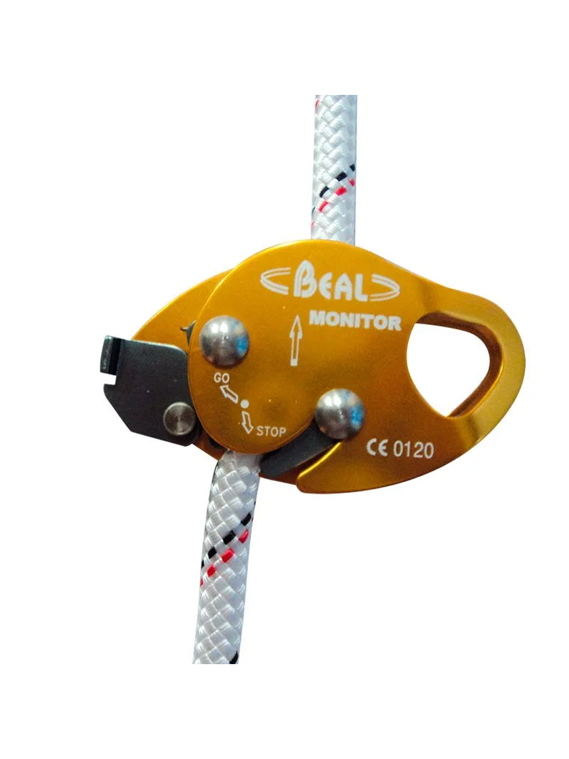 Deslizador Anticaída Monitor Beal 1