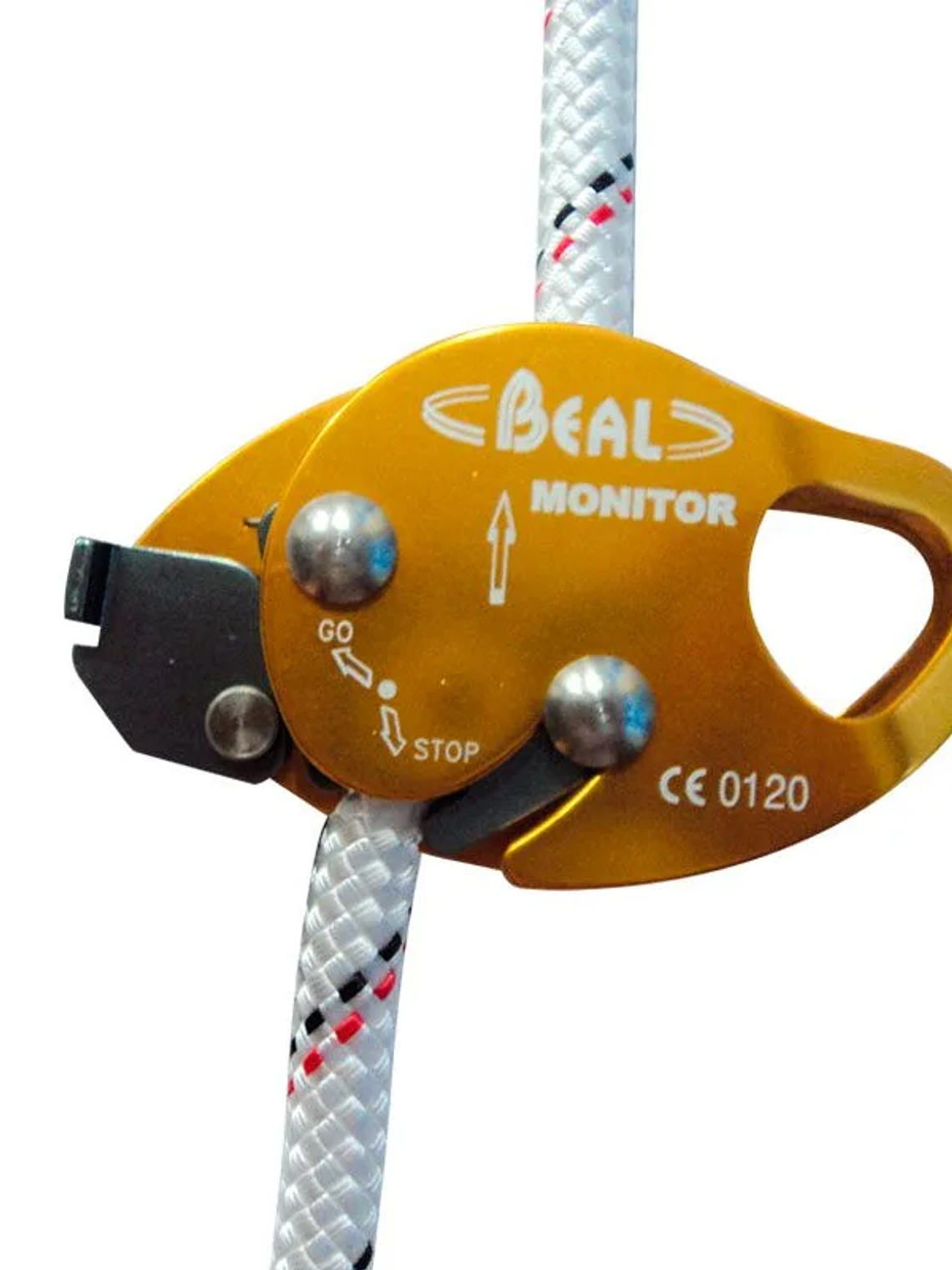 Deslizador Anticaída Monitor Beal 1