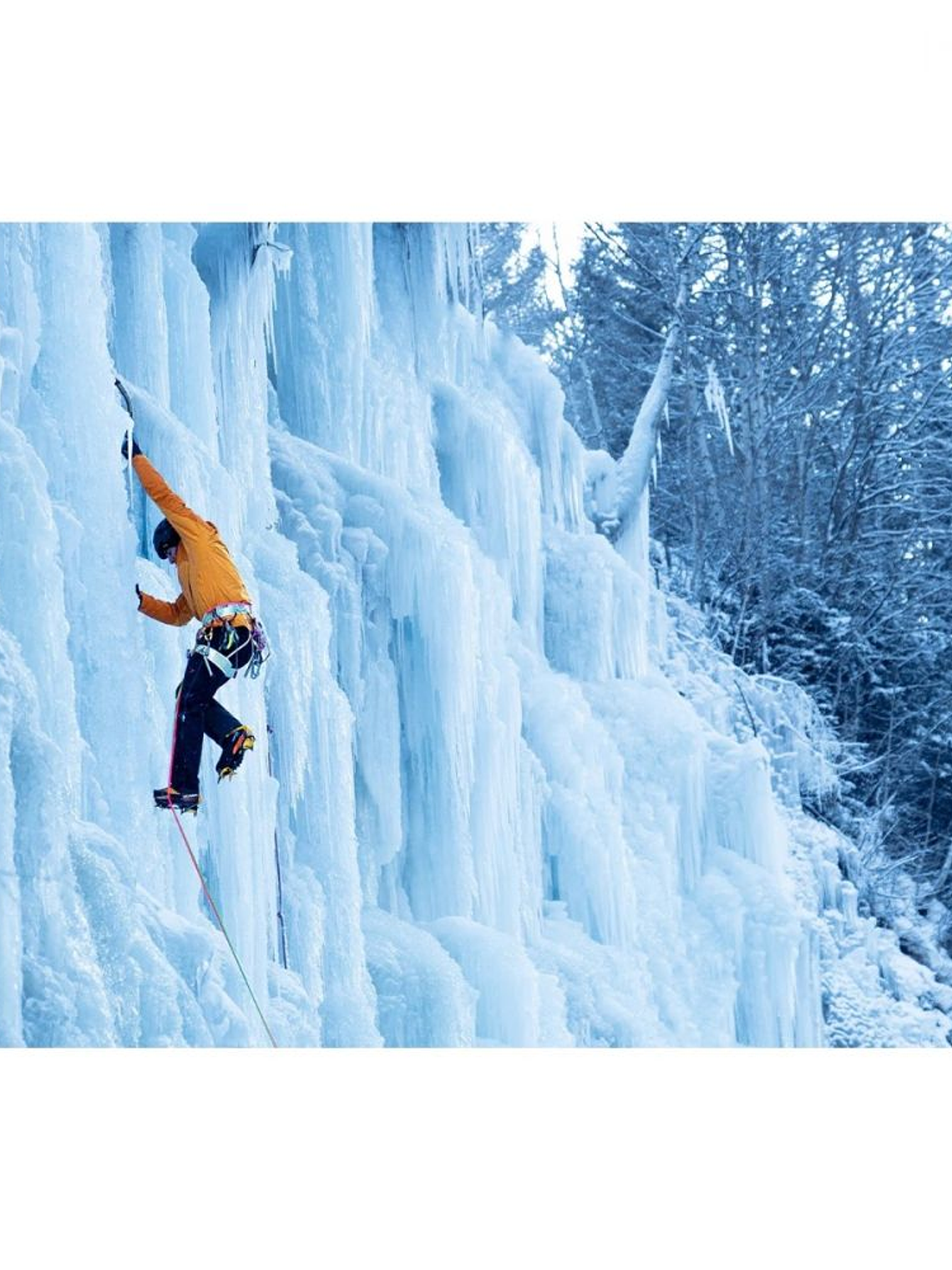 Arnés Levante Grivel 2