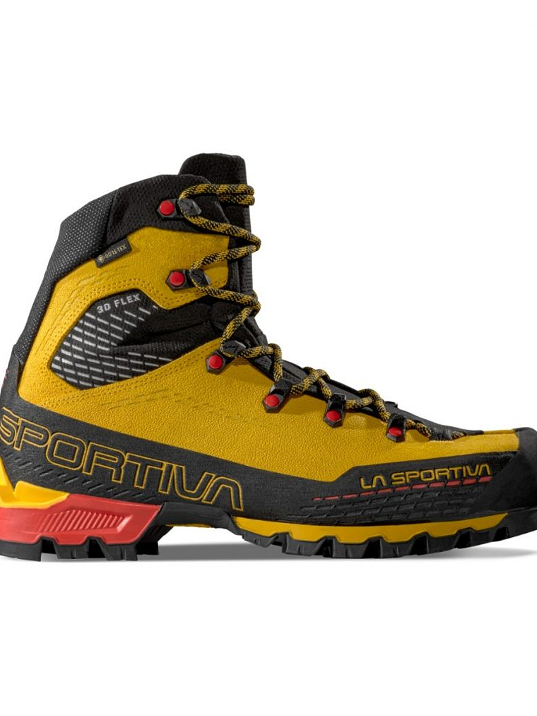 Trango Alpine GTX 1