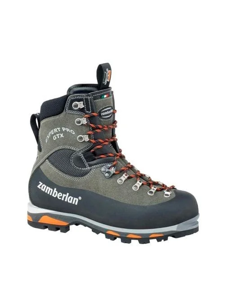 Zapato Media Montaña Expert PRO GTX 2