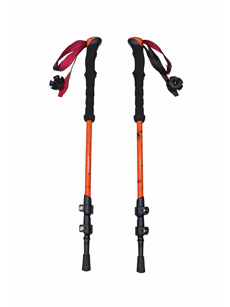 Bastones de Trekking First Trail 2