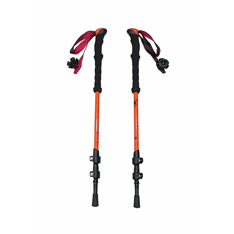 Bastones de Trekking First Trail 2