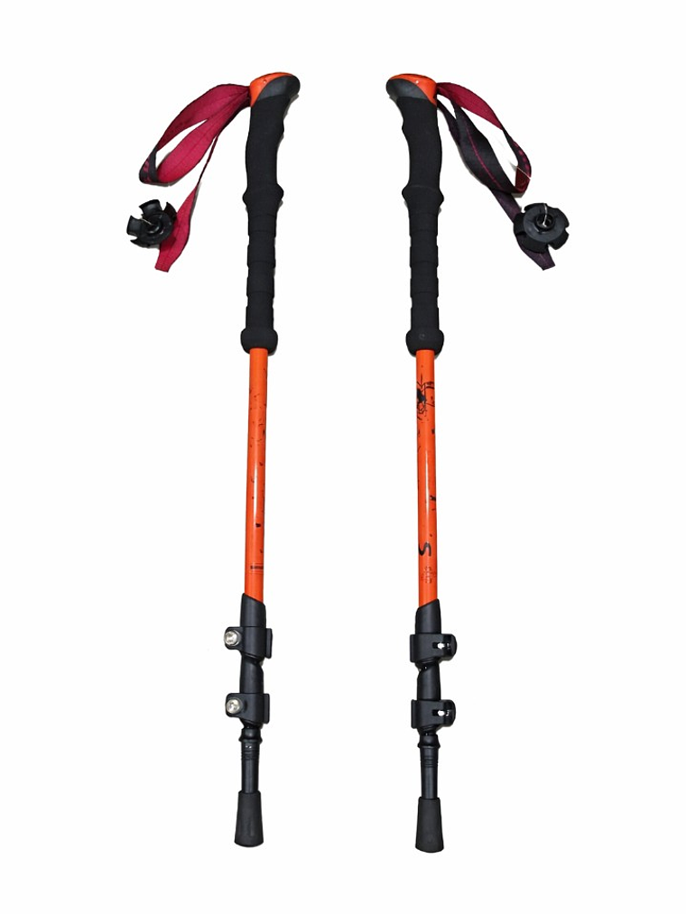 Bastones de Trekking First Trail 2