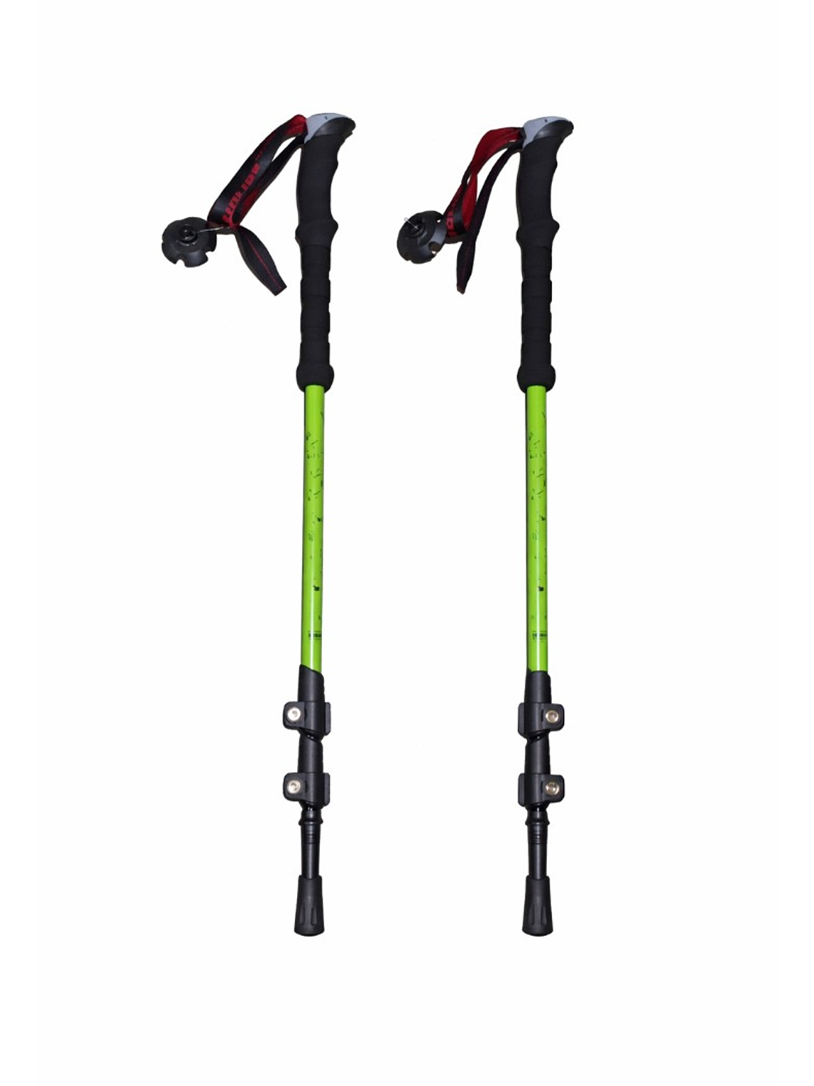 Bastones de Trekking First Trail 1