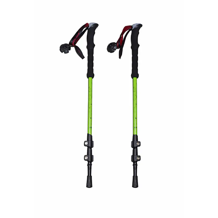 Bastones de Trekking First Trail 1