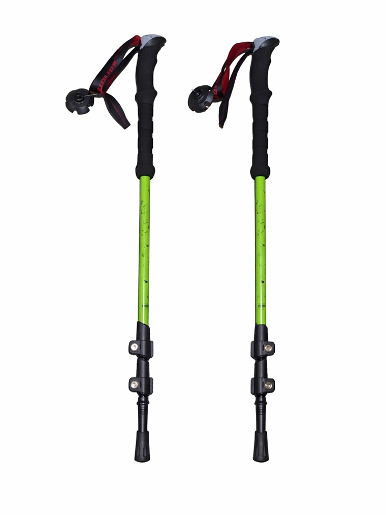 Bastones de Trekking First Trail 1