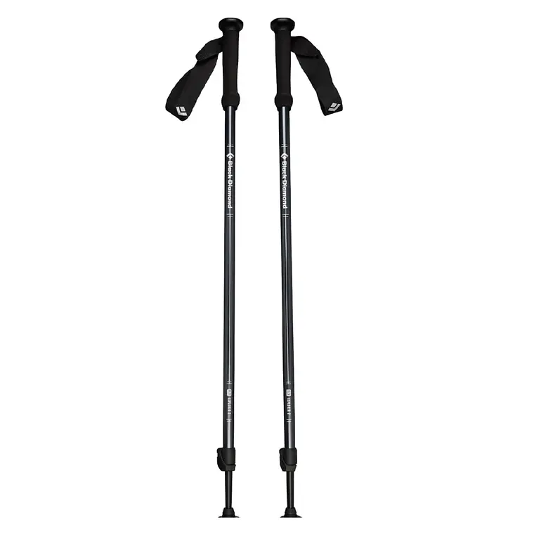 Bastones de Trekking Black Diamond Explorer 2 Ink Blue 1