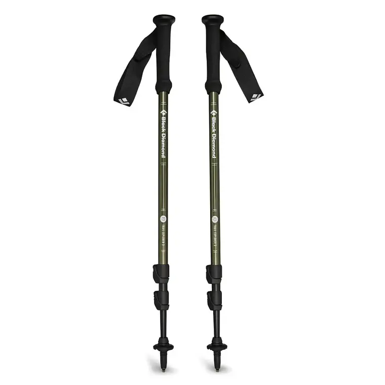 Bastones de Trekking Black Diamond Explorer 3 1