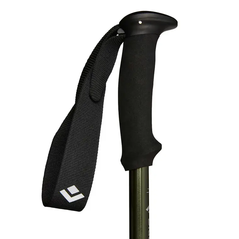 Bastones de Trekking Black Diamond Explorer 3 2