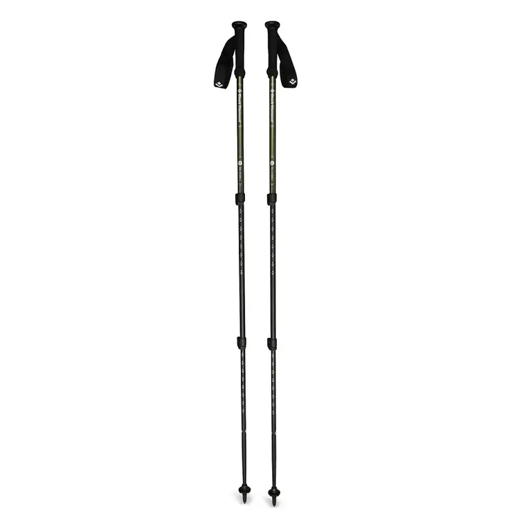 Bastones de Trekking Black Diamond Explorer 3 3