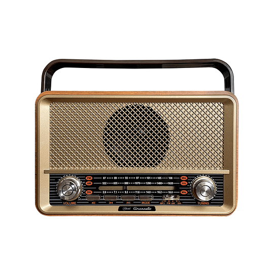 Radio Retro Mlab Grosseto - 9142