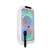 Parlante Flaming Power Bass 10 + Microfono/ Mlab 9568 - 9569