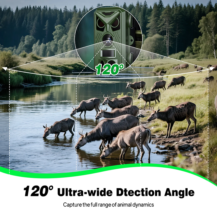 4K D300 Trail Camera | Hunting Camera with 0.8s Motion Activation, 25m Infrared Night Vision and IP66 Water Resistance 3