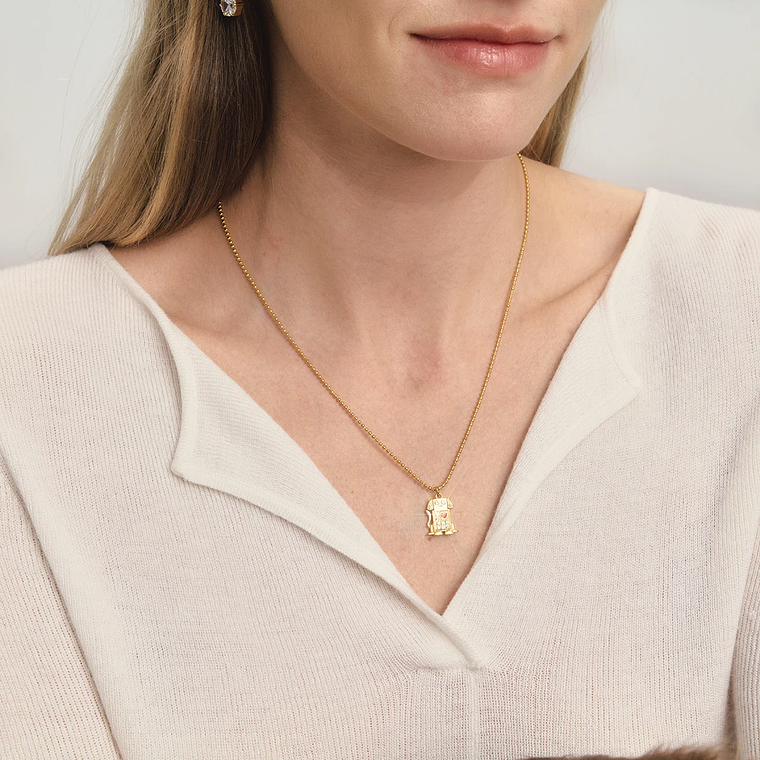 Colar Coração com Cachorro e Gota de Óleo Vermelho | Colar Feminino em Aço Inoxidável com Strass Branco - Presente Romântico 1