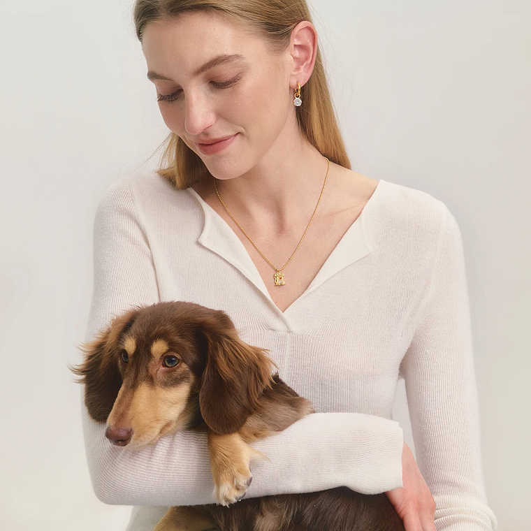 Colar Coração com Cachorro e Gota de Óleo Vermelho | Colar Feminino em Aço Inoxidável com Strass Branco - Presente Romântico 2