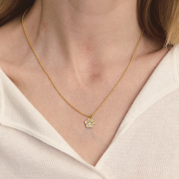 Colar Pingente Garra de Gato Pequena com Strass Branco | Colar Feminino Banhado a Ouro 18K PVD com Corrente de Contas 1