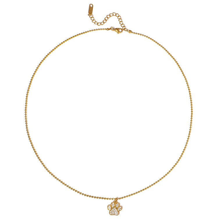 Colar Pingente Garra de Gato Pequena com Strass Branco | Colar Feminino Banhado a Ouro 18K PVD com Corrente de Contas 5