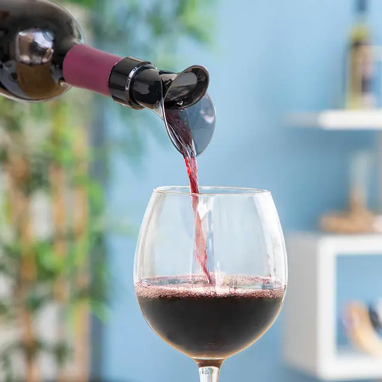 Tampa Dispensador Arejador de Vinho 2 em 1 Wintopp | Tampa Antigotejamento e Arejador | InnovaGoods 1