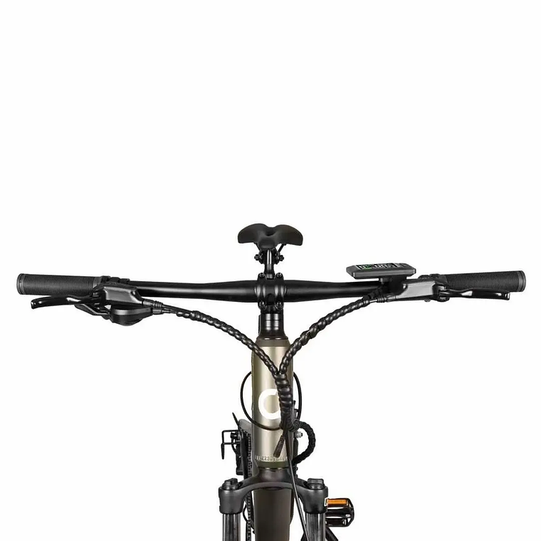 Bicicleta Elétrica Cecotec Supreme 250 W 29