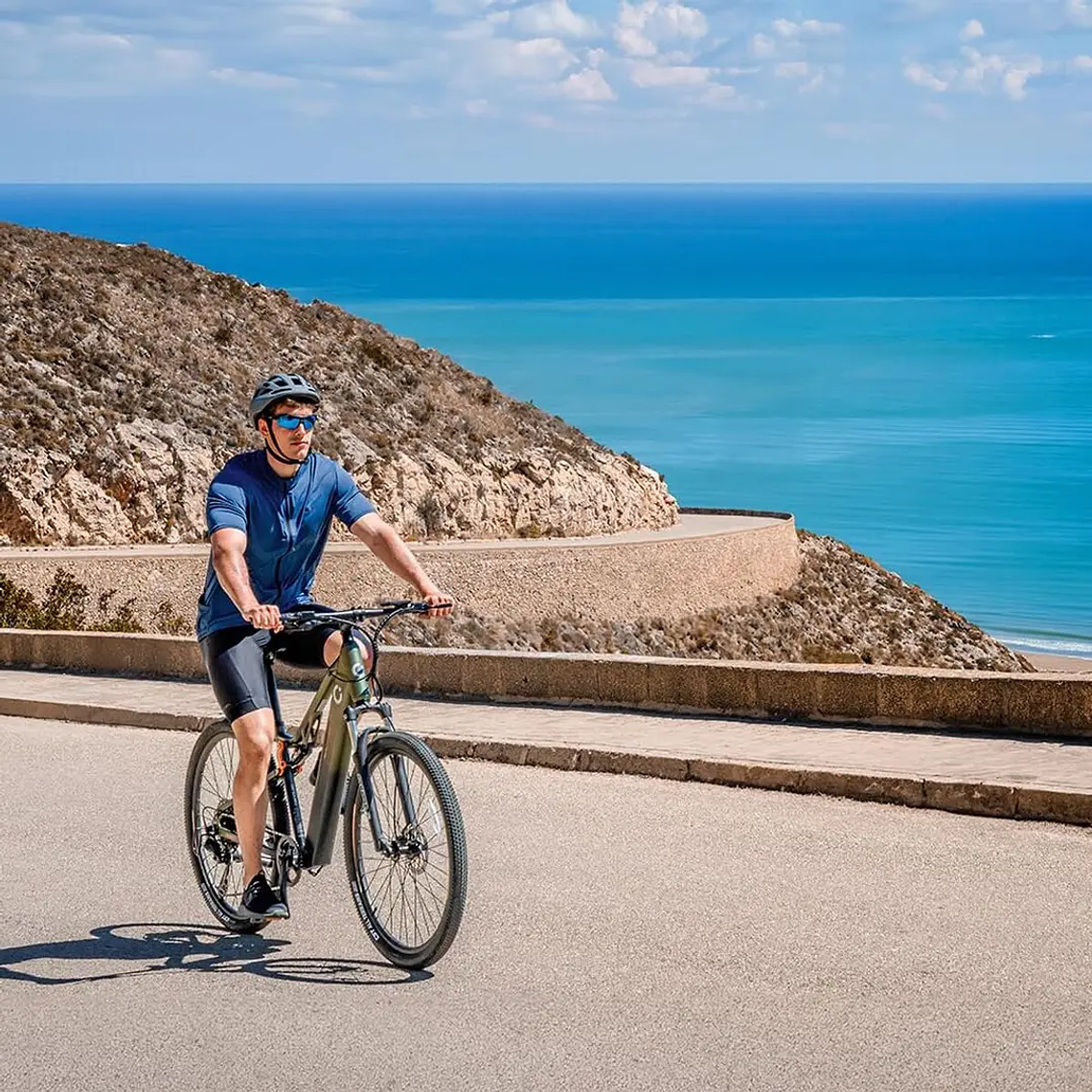 Bicicleta Elétrica Cecotec Supreme 250 W 29